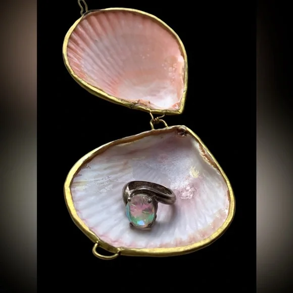 New Two’s Company Real Sea Shell Sunset Colors Ring Holder Pill Box Trinket - Picture 2 of 7